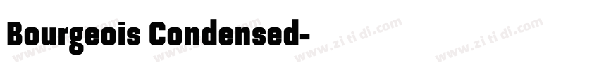 Bourgeois Condensed字体转换 Bourgeois Condensed字体转换
